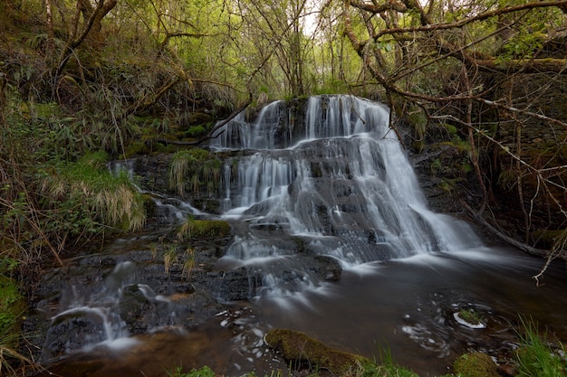 Wasserfall in einem schönen Wald in der Gegend von Galicien, Spanien.