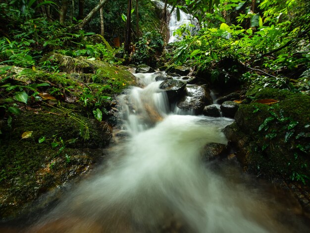 Wasserfall in Mae Kampong, Chiangmai, Thailand.