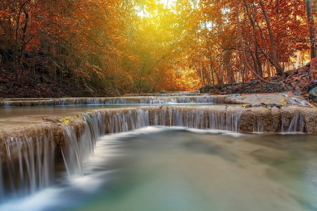 Wasserfall mit Baum im Herbstwald