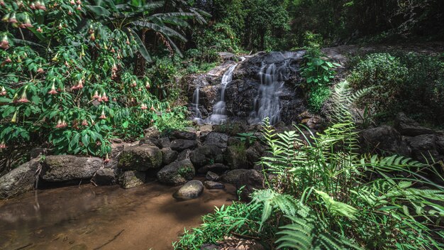 Wasserfall mit natürlicher Landschaft