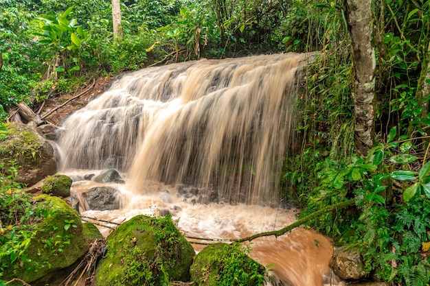 Wasserfall mit Regenwasser im Regenwald