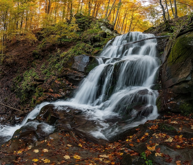 Wasserfall mit weißen Jets im Wald