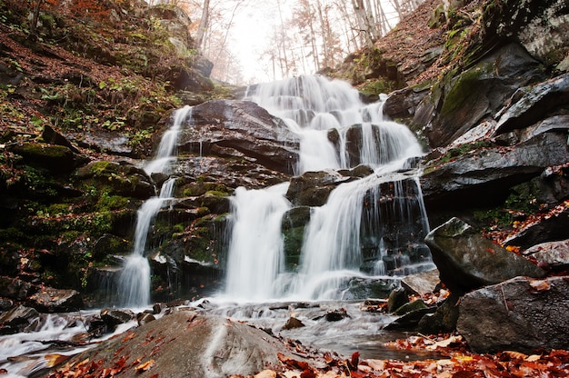 Wasserfall Shypit auf Borzhava, Pylypets-Dorf auf Karpatenbergen. Ukraine. Europa. Erstaunlicher Wasserfall der Welt im Herbstwald. Schönheit der Welt.