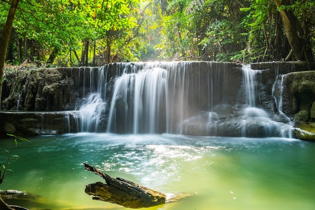 Wasserfall tiefer Wald szenisch natürlich