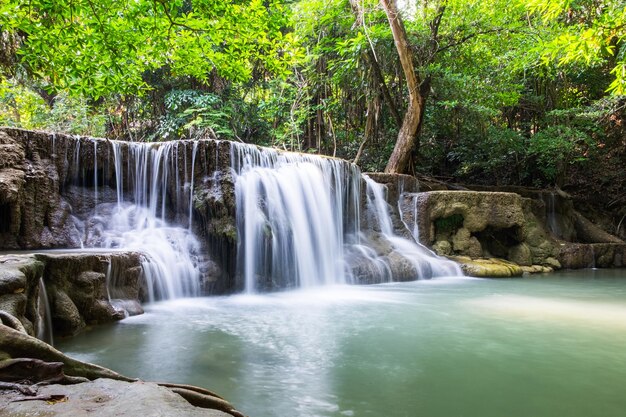 Wasserfall tiefer Wald szenisch natürlich