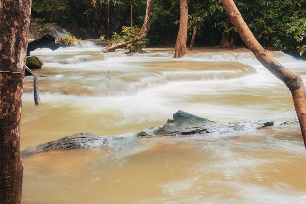 Wasserfall und Baum in der Regenzeit.