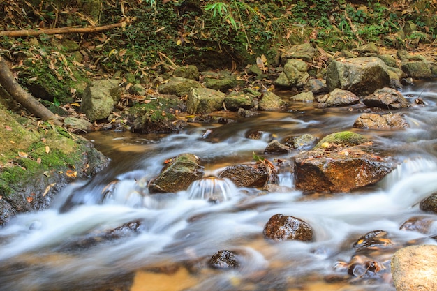 Wasserfall und Felsen bedeckt mit Moos