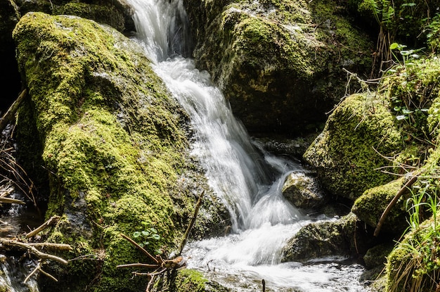 Wasserfall und Moos