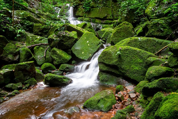 Wasserfall unter Naturgrünem Moos und -felsen