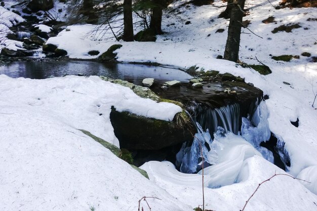 Wasserfall zwischen Schnee und Eis in einem Wald