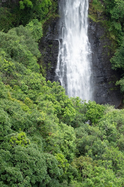 Wasserfalldetail zwischen den Bäumen in einem Regenwald in Brasilien