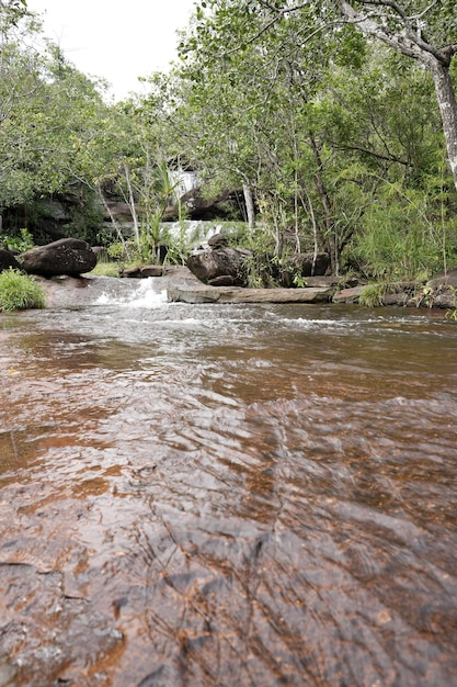 Foto wasserfallgrüner wald huai pok