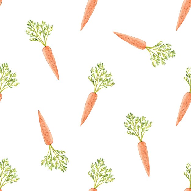 Wasserfarbenes nahtloses Karottenmuster auf weißem Hintergrund