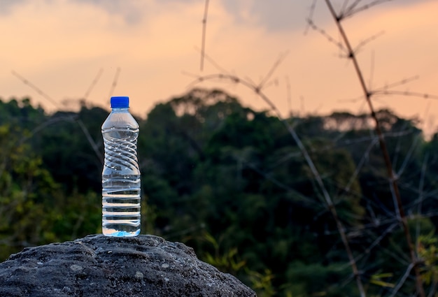 Wasserflasche mit Gebirgshintergrund.