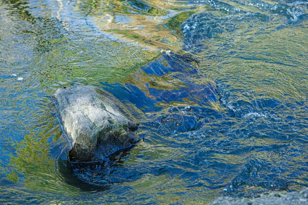 Wasserfluss und Spray von einem Stein in der Nähe