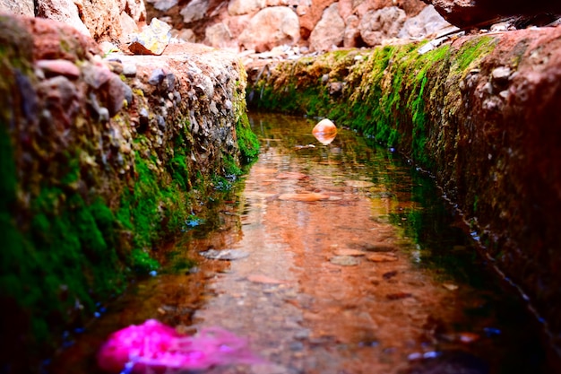 Foto wasserglück