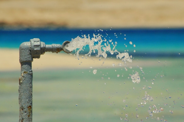 Wasserhahn Giftun Insel Rotes Meer Ägypten