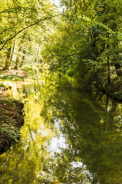 Wasserkanal durch Wald im Herbst