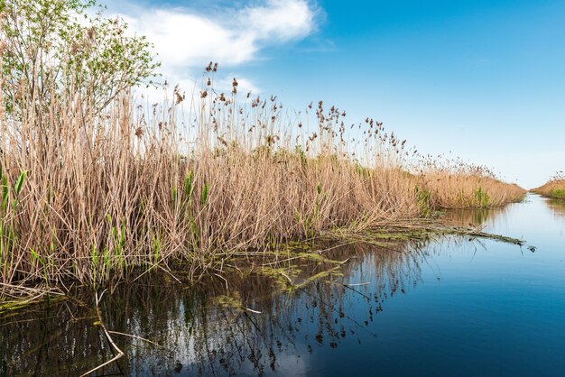 Wasserkanal im Naturschutzgebiet