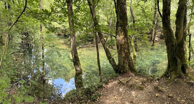 Foto wasserknappheit im wasserfall les tuffs mit verschiedenen becken im jura