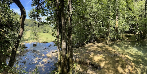 Wasserknappheit im Wasserfall Les Tuffs mit verschiedenen Becken im Jura