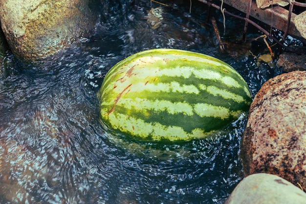 Wassermelone im kalten Wasserstrahl