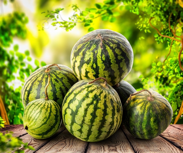 Wassermelone in einem Korb