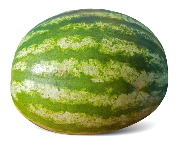 Foto wassermelone