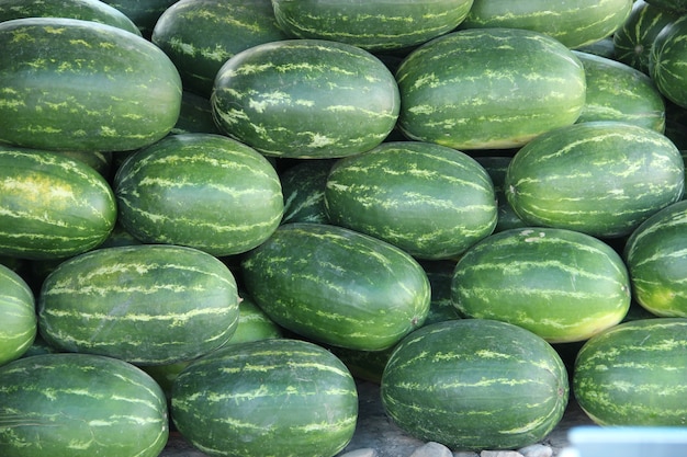 Foto wassermelonenernte zu verkaufen