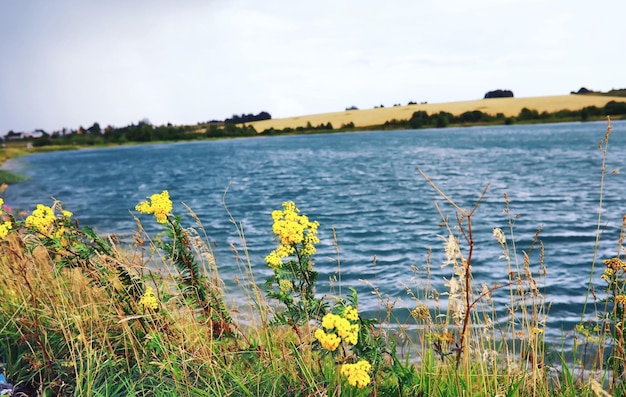 Wasseroberfläche Die Textur des Wassers Wellen auf dem See bei windigem Wetter