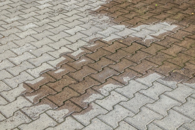 Wasserpfütze auf dem Bürgersteig im Sommer im Park