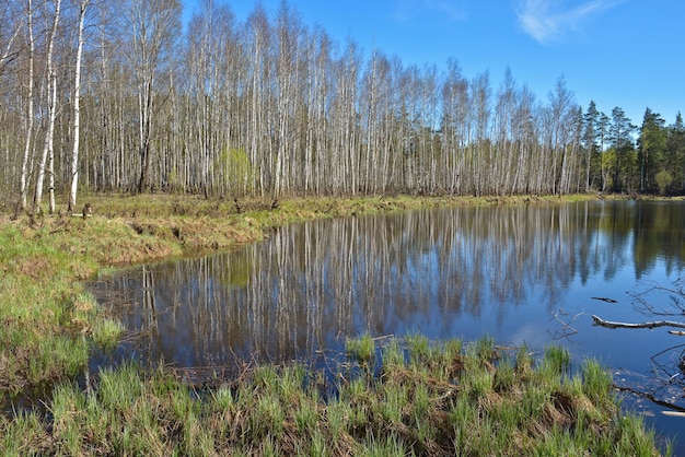 Wasserquelllandschaft