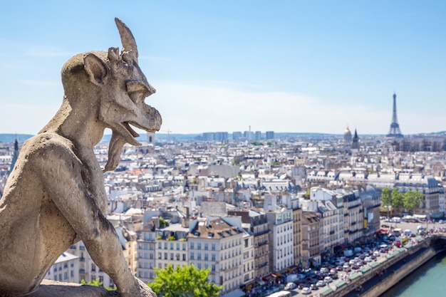 Wasserspeier bei Notre Dame