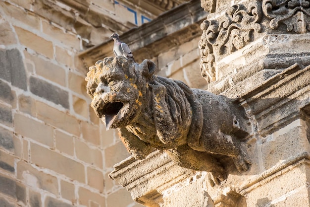 Wasserspeier, der aus der Fassade einer Kathedrale herausragt