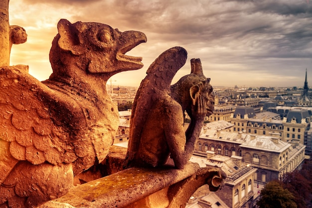 Wasserspeier oder Schimären auf Notre Dame de Paris mit Blick auf Paris Frankreich