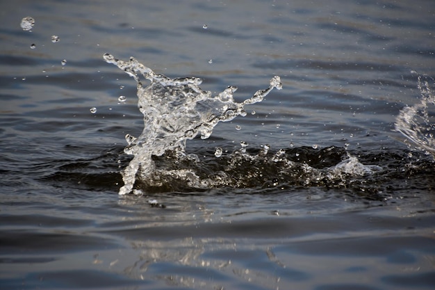 Wasserspritzer isoliert auf Weiß