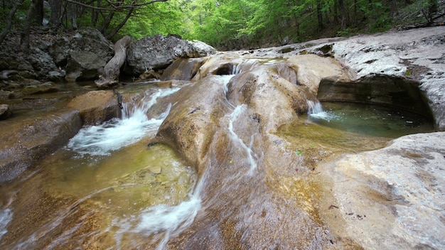 Wasserstrom fließt über Felsen im Wald