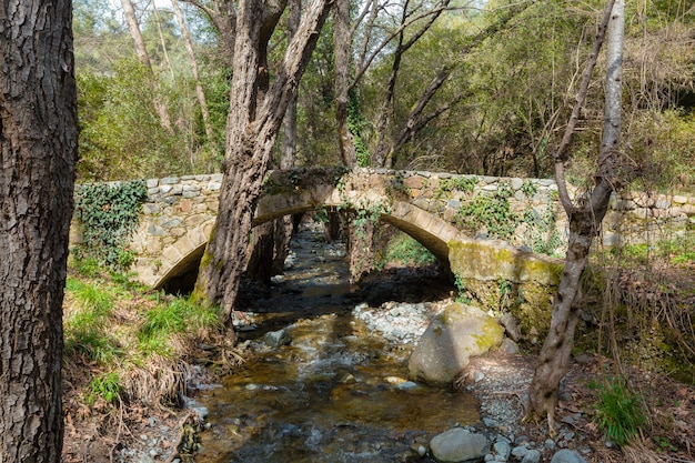 Foto wasserstrom läuft über felsen