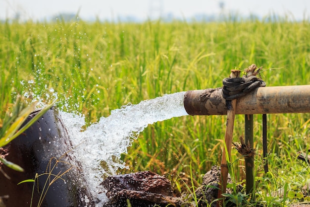 Wasserstrom von der großen Pumpenröhre auf dem Reisgebiet in Mittel von Thailand, Fokus auf Rohr