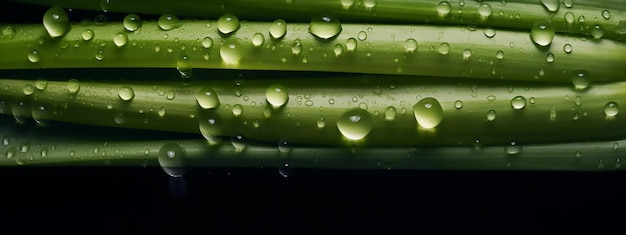 Wassertropfen auf einem grünen Gemüse