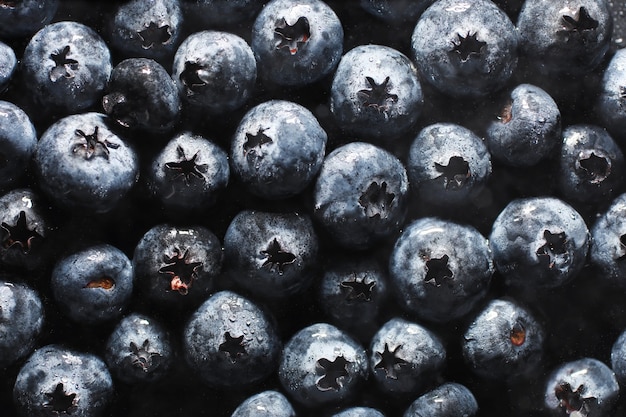 Wassertropfen auf reife süße Blaubeere. Frischer Blaubeerhintergrund mit Kopienraum für Ihren Text. Veganes und vegetarisches Konzept. Makrobeschaffenheit von Blaubeerbeeren. Textur Blaubeerbeeren hautnah