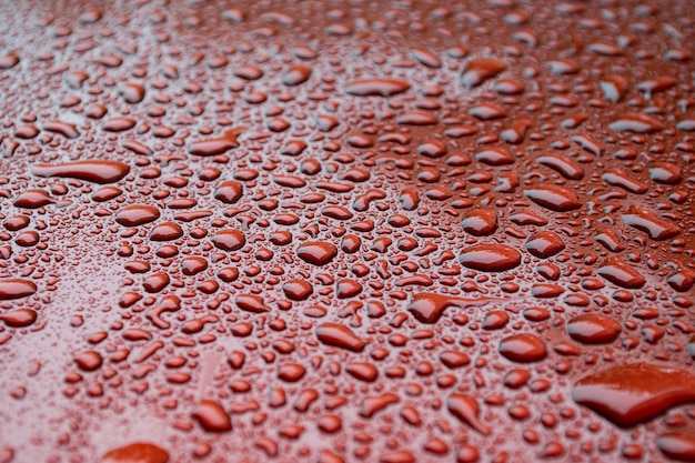 Wassertropfen auf tiefrotem defokussiertem Hintergrund