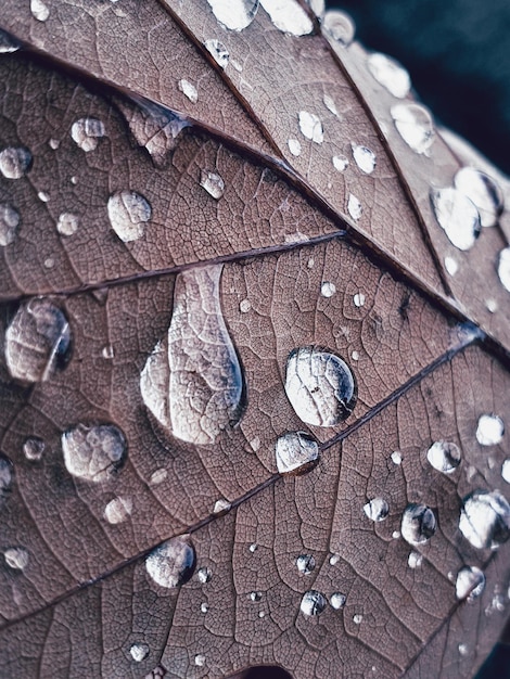 Foto wassertropfen