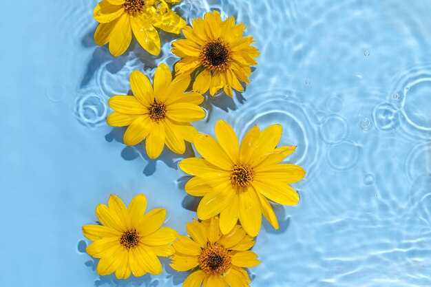 Wasserwelligkeit mit gelben Blumen. Trendiger Hintergrund für die Präsentation von Kosmetikprodukten. Künstlerisches Konzept. Platz kopieren