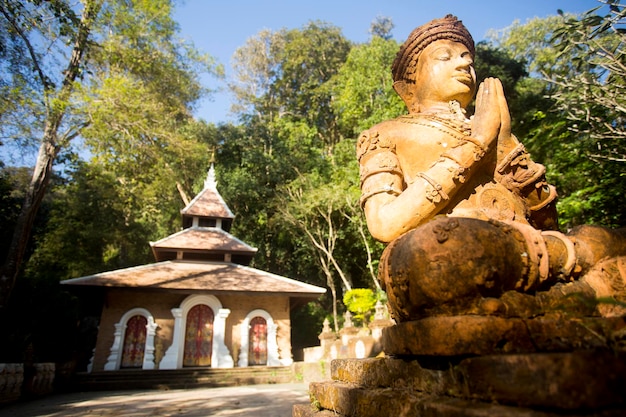 Wat Phra Lat en Chiang Mai Templo de un monasterio budista con estatuas ocultas en el medio de la