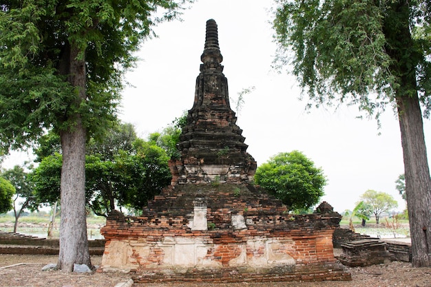 Wat Phu Khao Thong Tempel in Phra Nakhon Si Ayutthaya Thailand