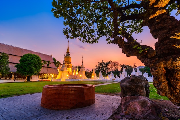 Wat Suan Dok ist ein buddhistischer Tempel (Wat) bei Sonnenuntergang. Der Himmel ist eine wichtige Touristenattraktion in Chiang Mai, Nordthailand.