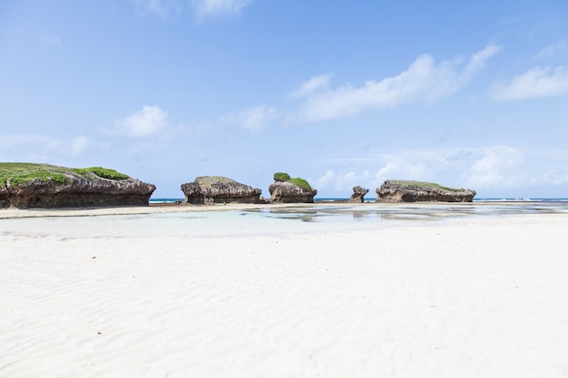 Watamu, cerca de Malindi, Kenia. La playa más hermosa de la zona. Copie el espacio.