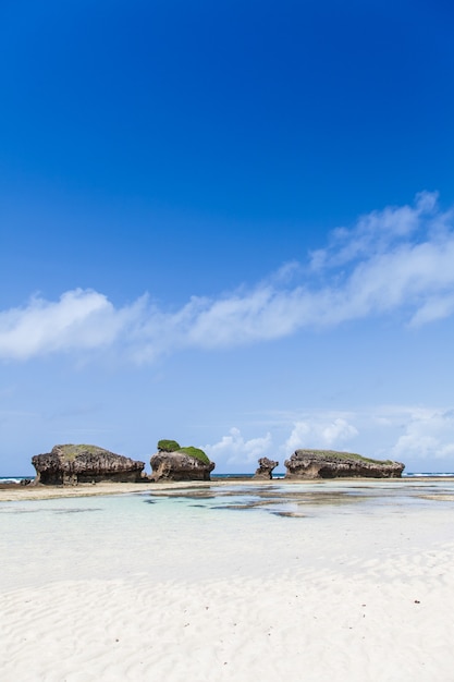 Watamu, perto de Malindi, no Quênia. A praia mais bonita da região. Copie o espaço.