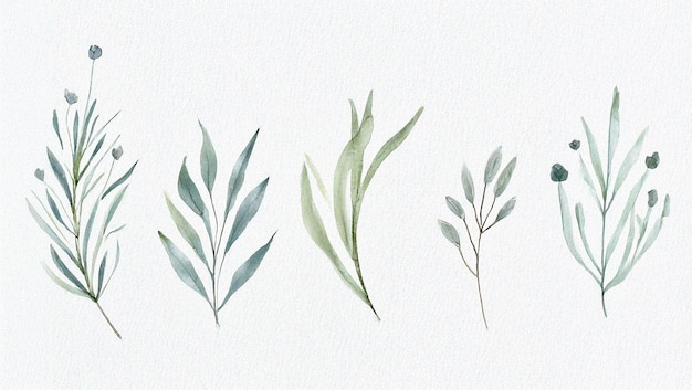 Watercolor Botanical Foliage Collection for Invitations and Designs